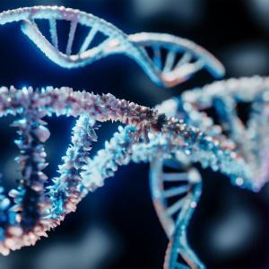 Helix strand of DNA