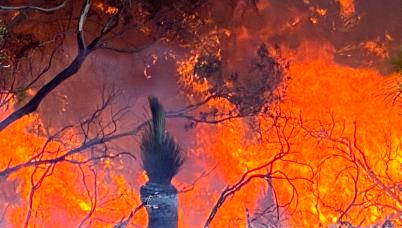 Bushfire