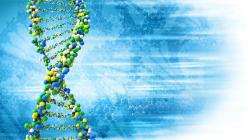 digital illustration of DNA
