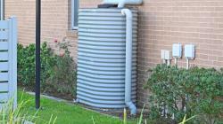 Domestic backyard garden, including a corrugated steel rainwater tank 