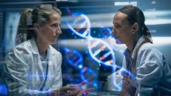 Physician and patient and holographic DNA