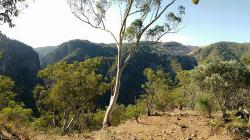 Bungonia Gorge